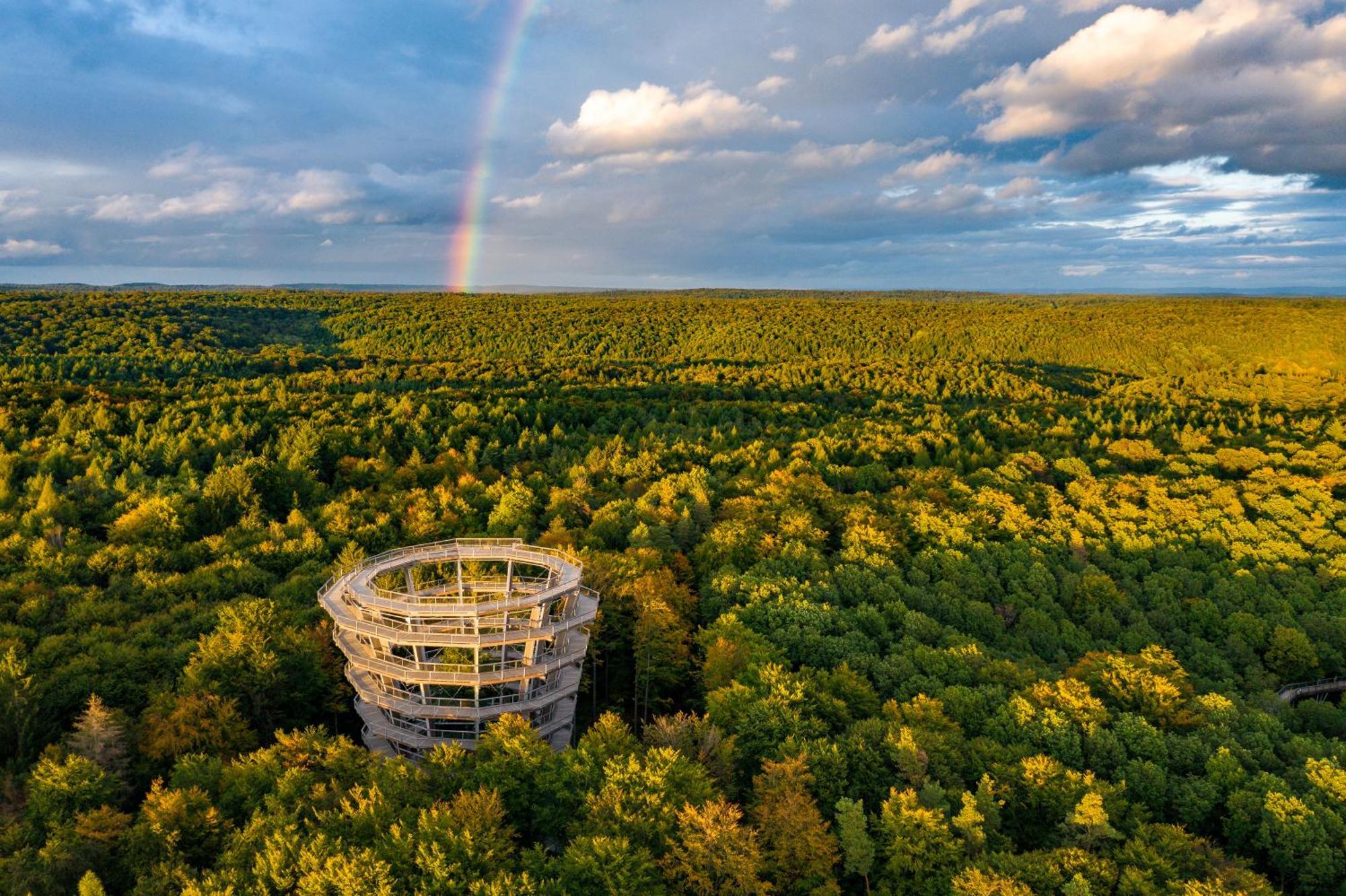 Altes Kurhaus Landhotel Trabelsdorf المظهر الخارجي الصورة